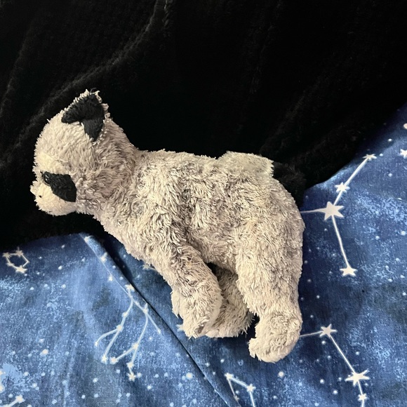 VINTAGE 2002 Ty Beanie Baby Bandito Raccoon - Picture 2 of 5